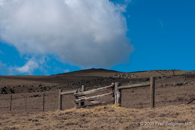 20091101_135736 D300.jpg - Along Kohala Mountain Road, Hawaii